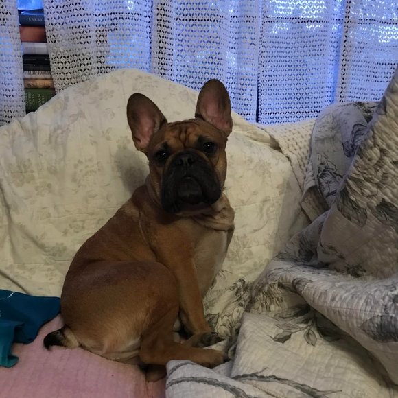 Meet your Posher, Terri - Picture 2 of 4